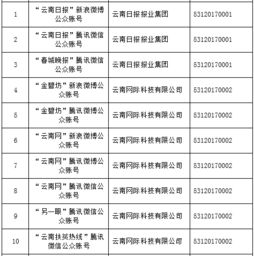 云南信息報旗下六產(chǎn)品獲首批互聯(lián)網(wǎng)新聞信息服務許可，賦能區(qū)域信息服務新格局